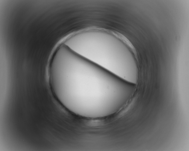 X0000099990839200805231042