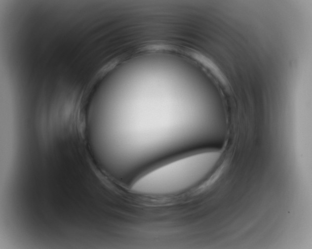 X0000099990841200805231042