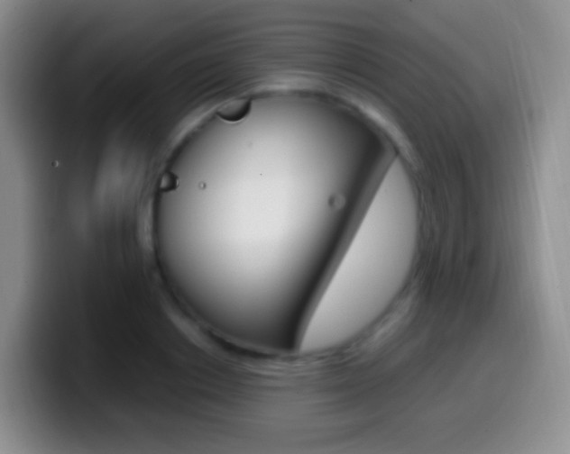 X0000099990842200805231042