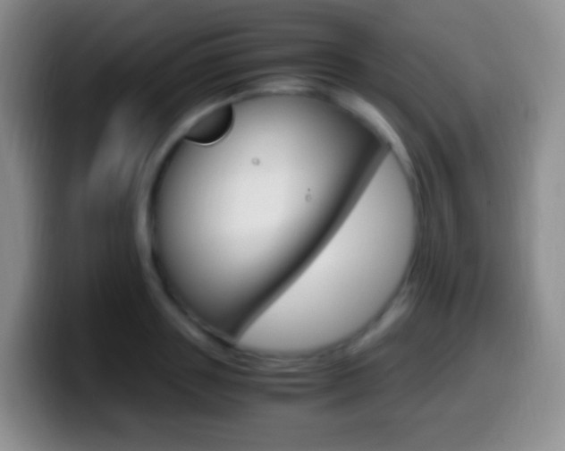 X0000099990843200805231042