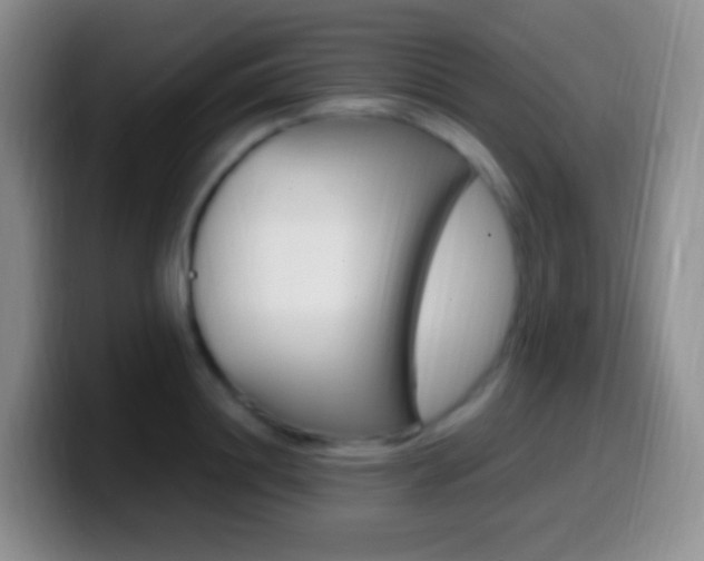X0000099990844200805231042