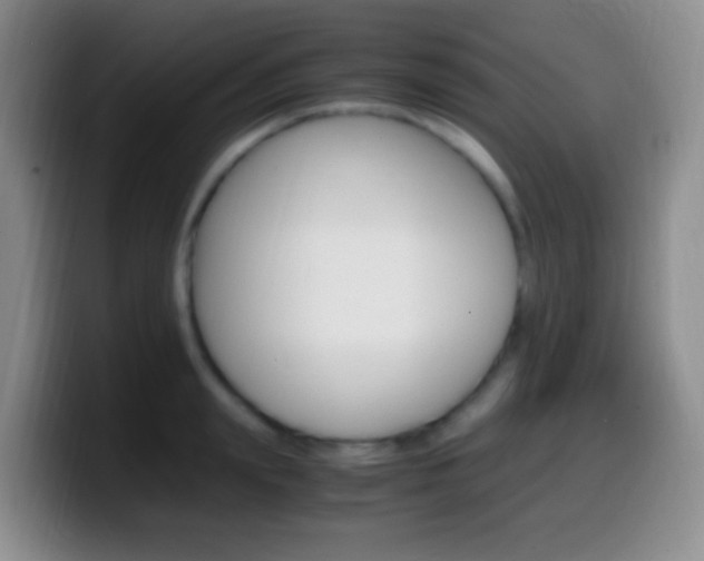 X0000099990847200805231042