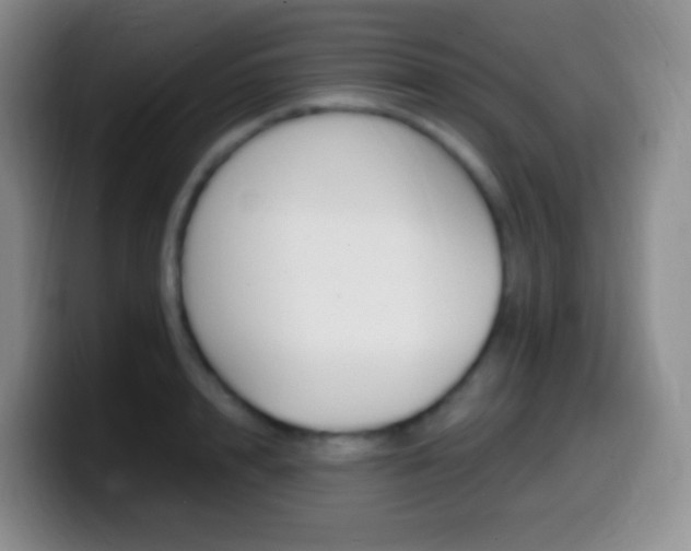X0000099990848200805231042