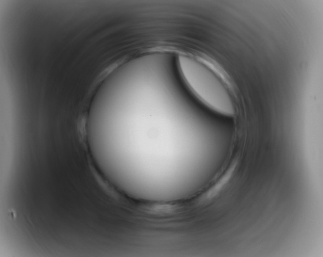 X0000099990849200805231042