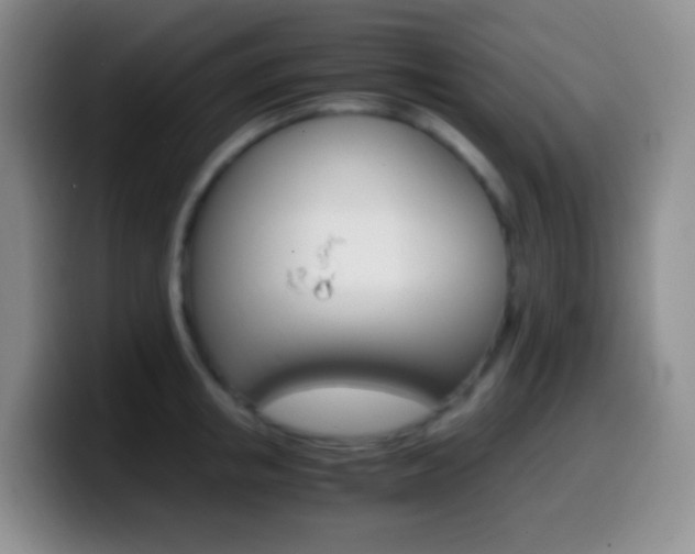X0000099990853200805231042