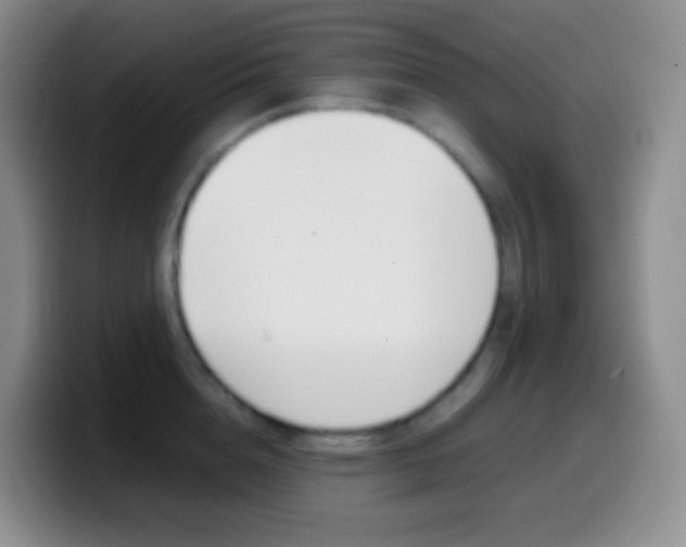 X0000099990856200805231042