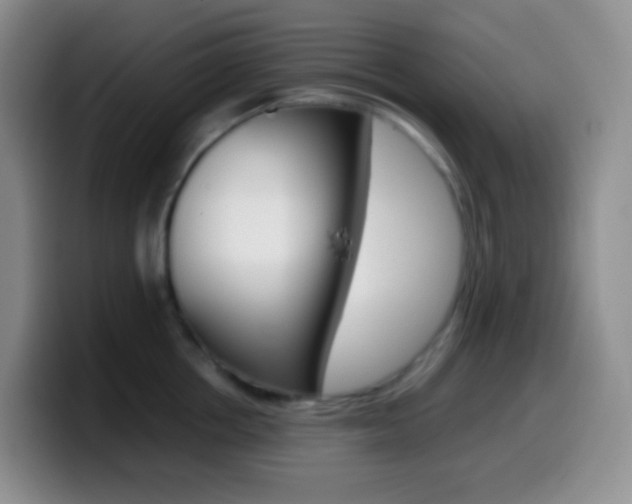 X0000099990858200805231042