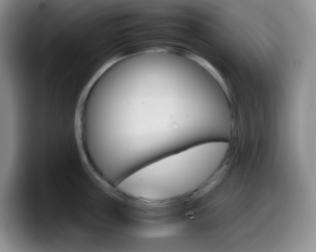 X0000099990859200805231042