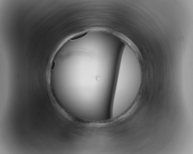 X0000099990860200805231042