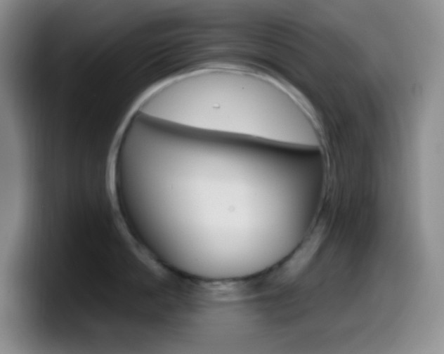X0000099990862200805231042