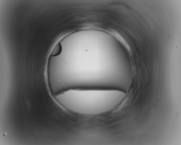 X0000099990863200805231042