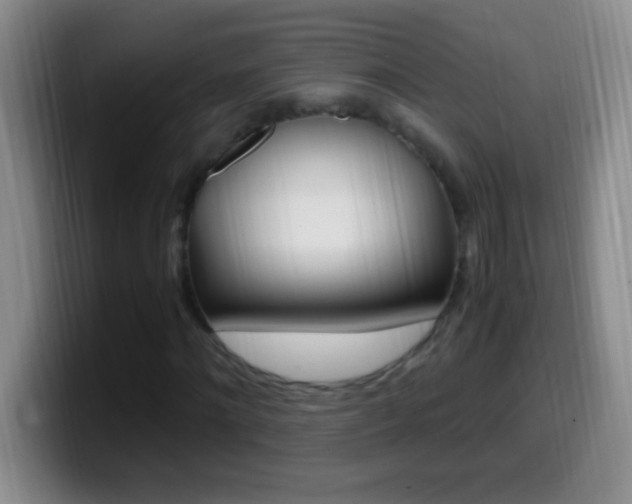 X0000099990868200805231042