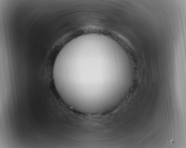 X0000099990870200805231042