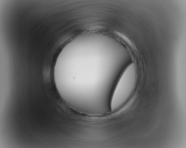 X0000099990873200805231042