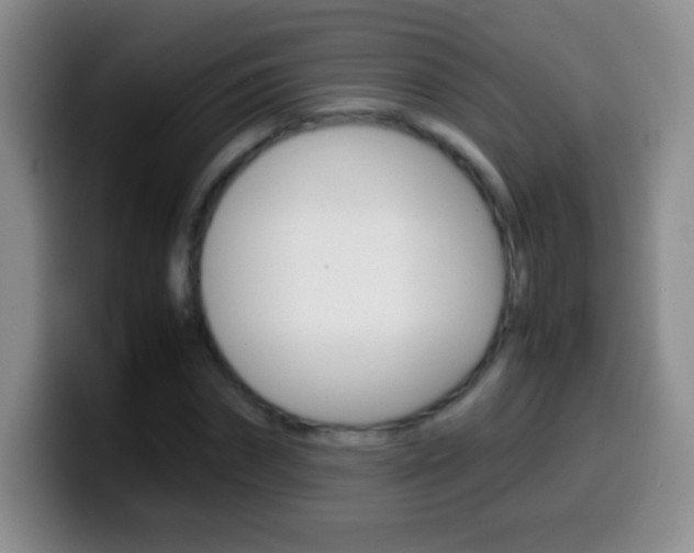 X0000099990874200805231042