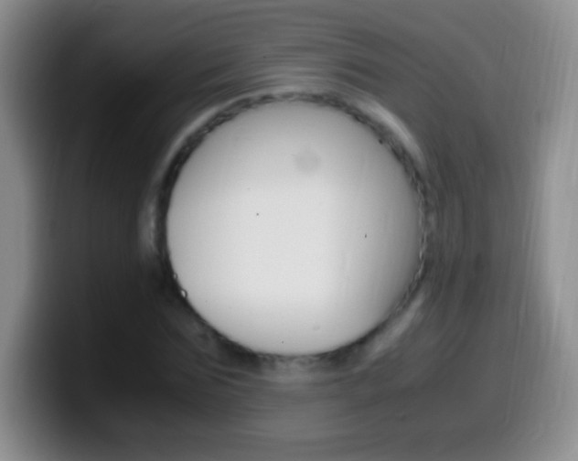 X0000099990875200805231042