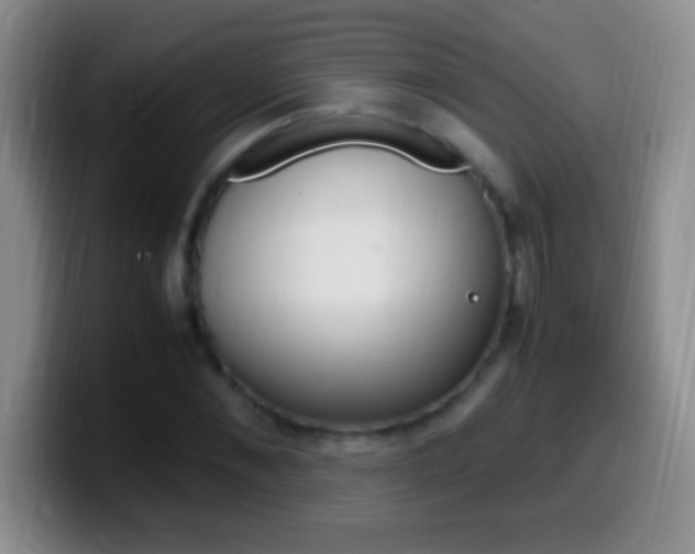 X0000099990876200805231042