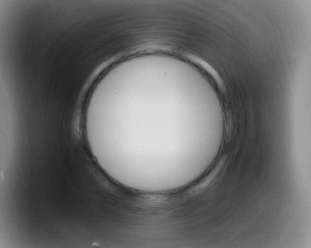 X0000099990878200805231042