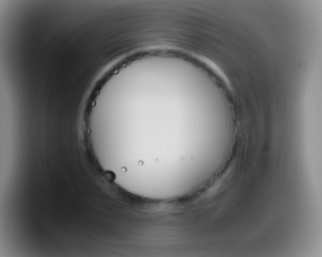 X0000099990879200805231042