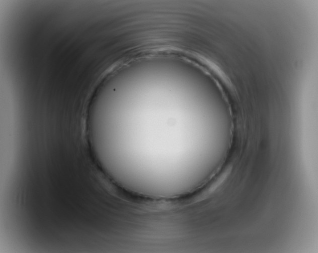 X0000099990881200805231042