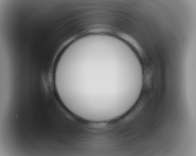 X0000099990882200805231042