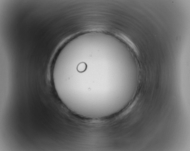 X0000099990883200805231041