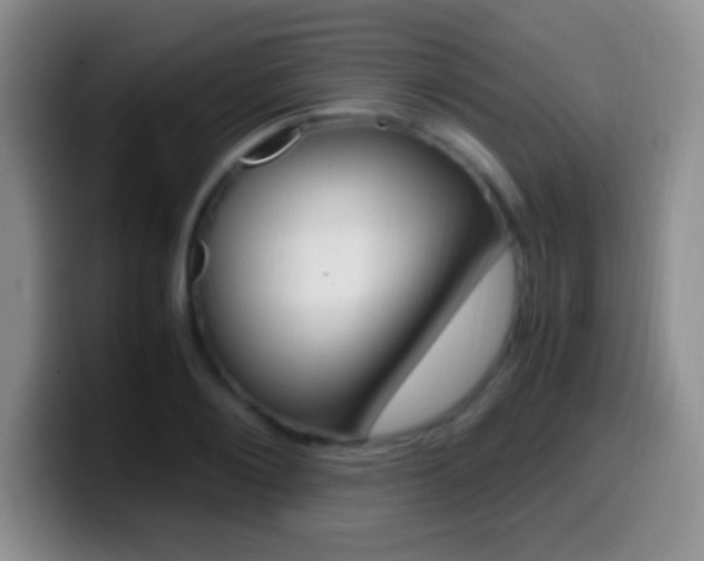 X0000099990884200805231041