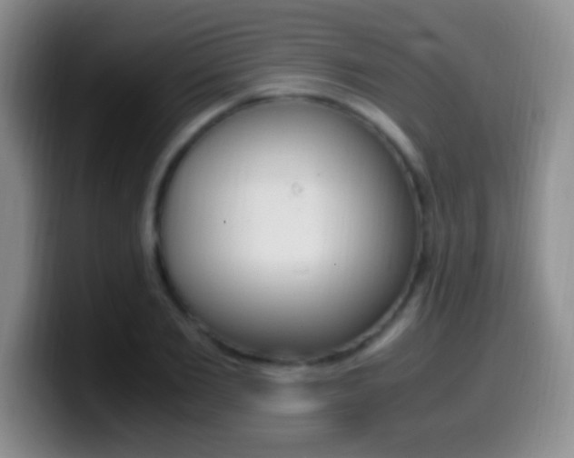 X0000099990885200805231041