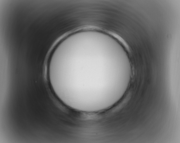 X0000099990886200805231041