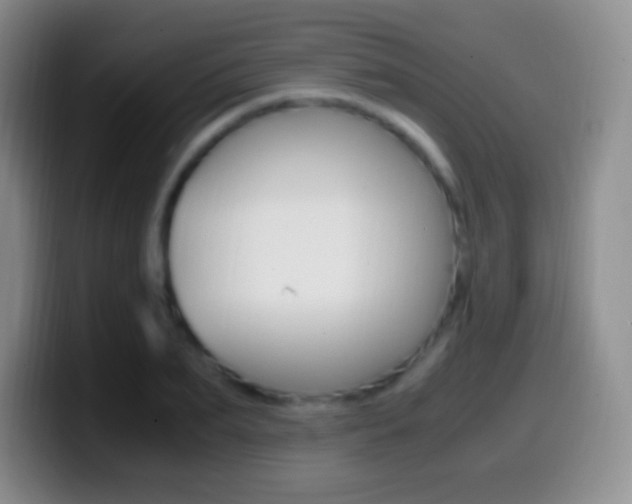 X0000099990887200805231041