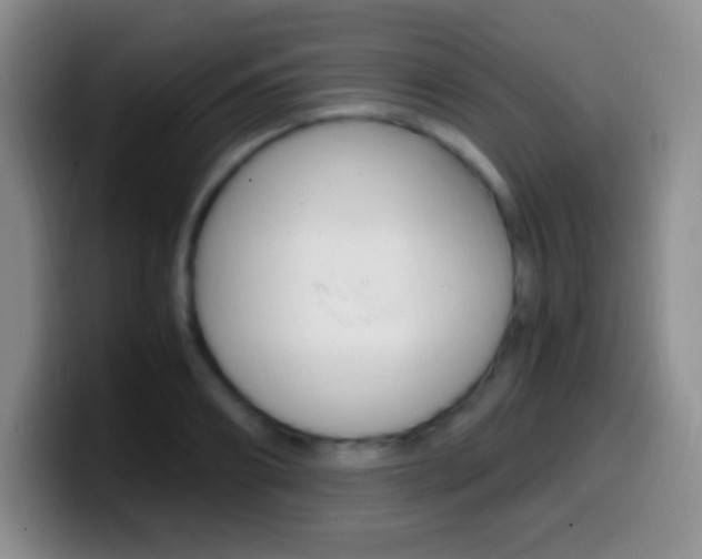 X0000099990890200805231041