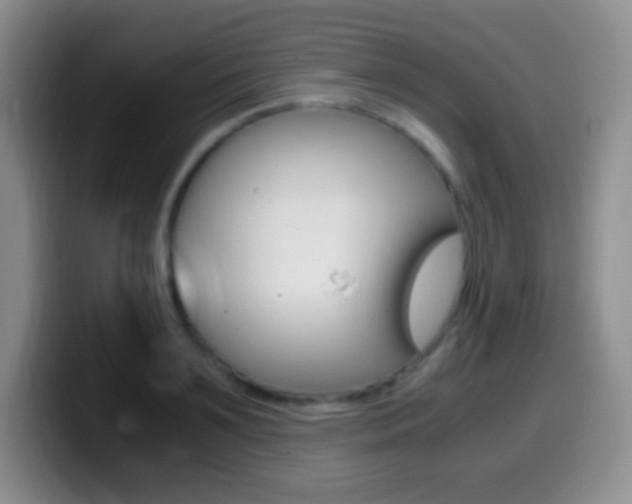 X0000099990891200805231041