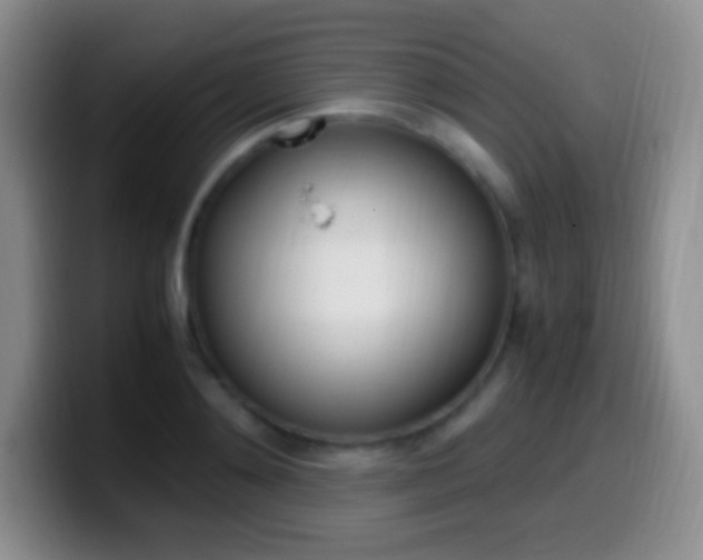 X0000099990892200805231041