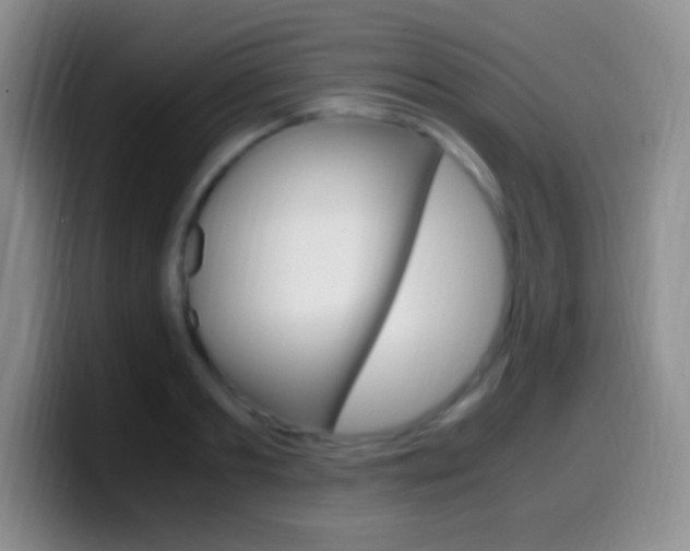 X0000099990893200805231041