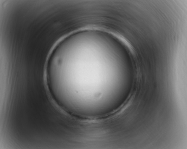 X0000099990896200805231041
