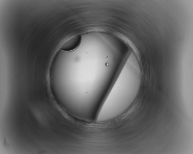X0000099990898200805231041