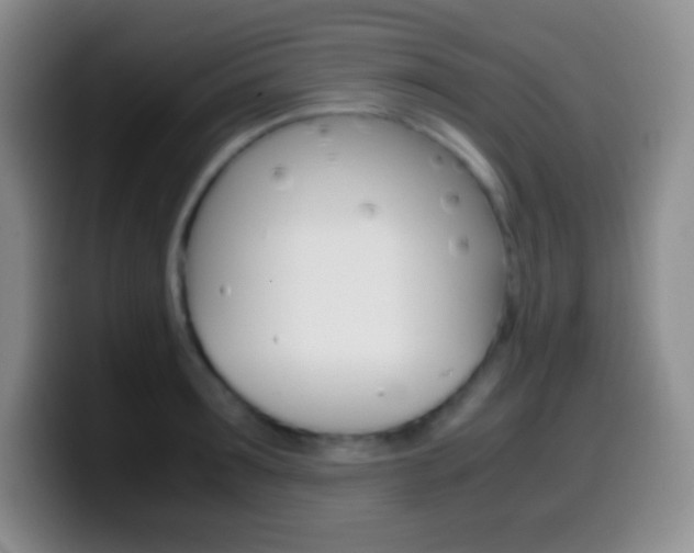X0000099990899200805231041