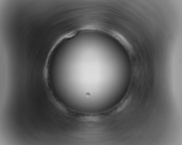 X0000099990900200805231041