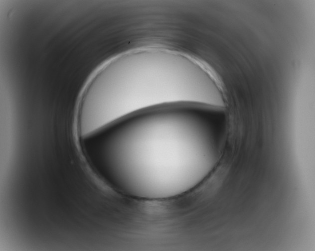 X0000099990904200805231041