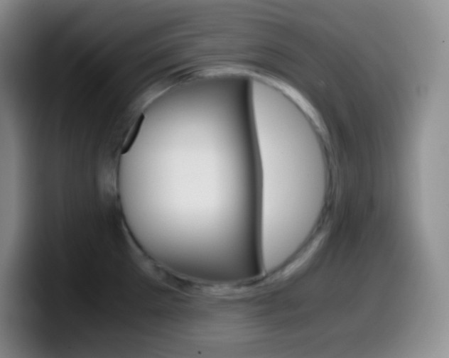 X0000099990905200805231041