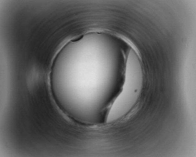 X0000099990906200805231041