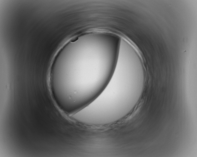 X0000099990909200805231041