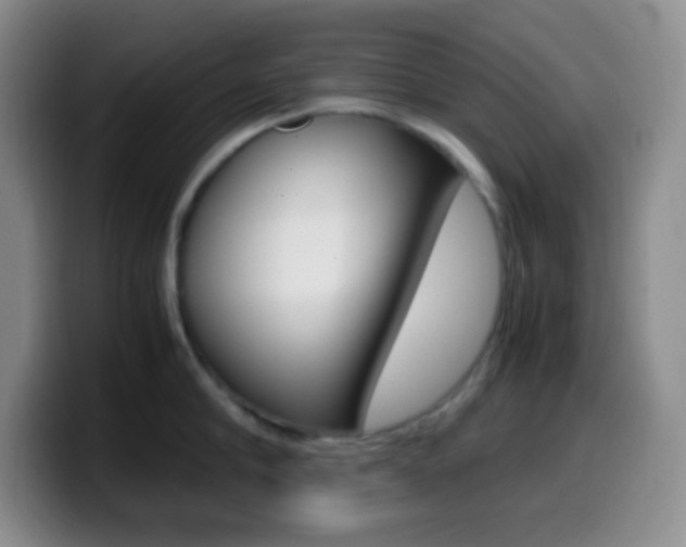 X0000099990910200805231041