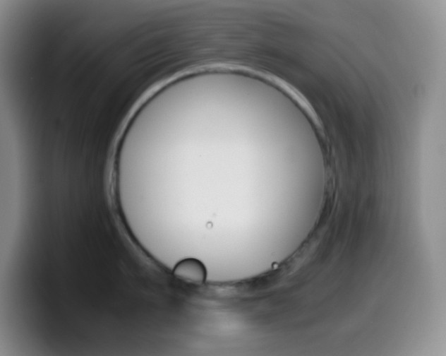 X0000099990911200805231041