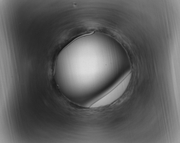 X0000099990916200805231041