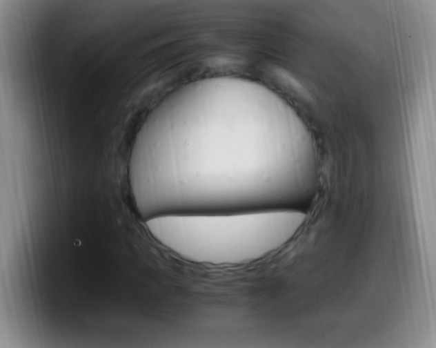 X0000099990917200805231041