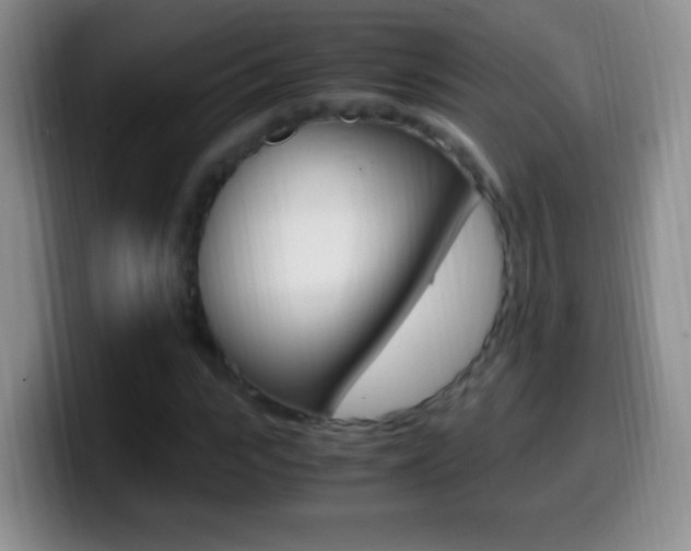 X0000099990919200805231041