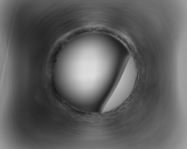 X0000099990920200805231041