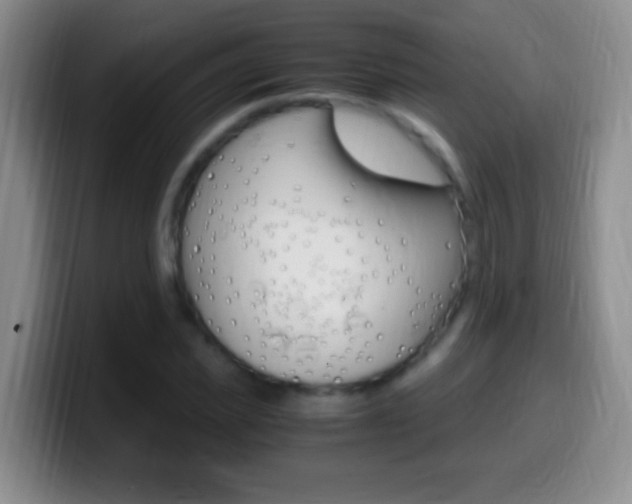 X0000099990925200805231041