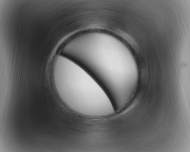 X0000099990926200805231041